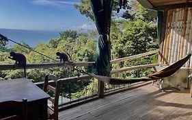 Beautiful Rustic Treehouse Hotel Manuel Antonio